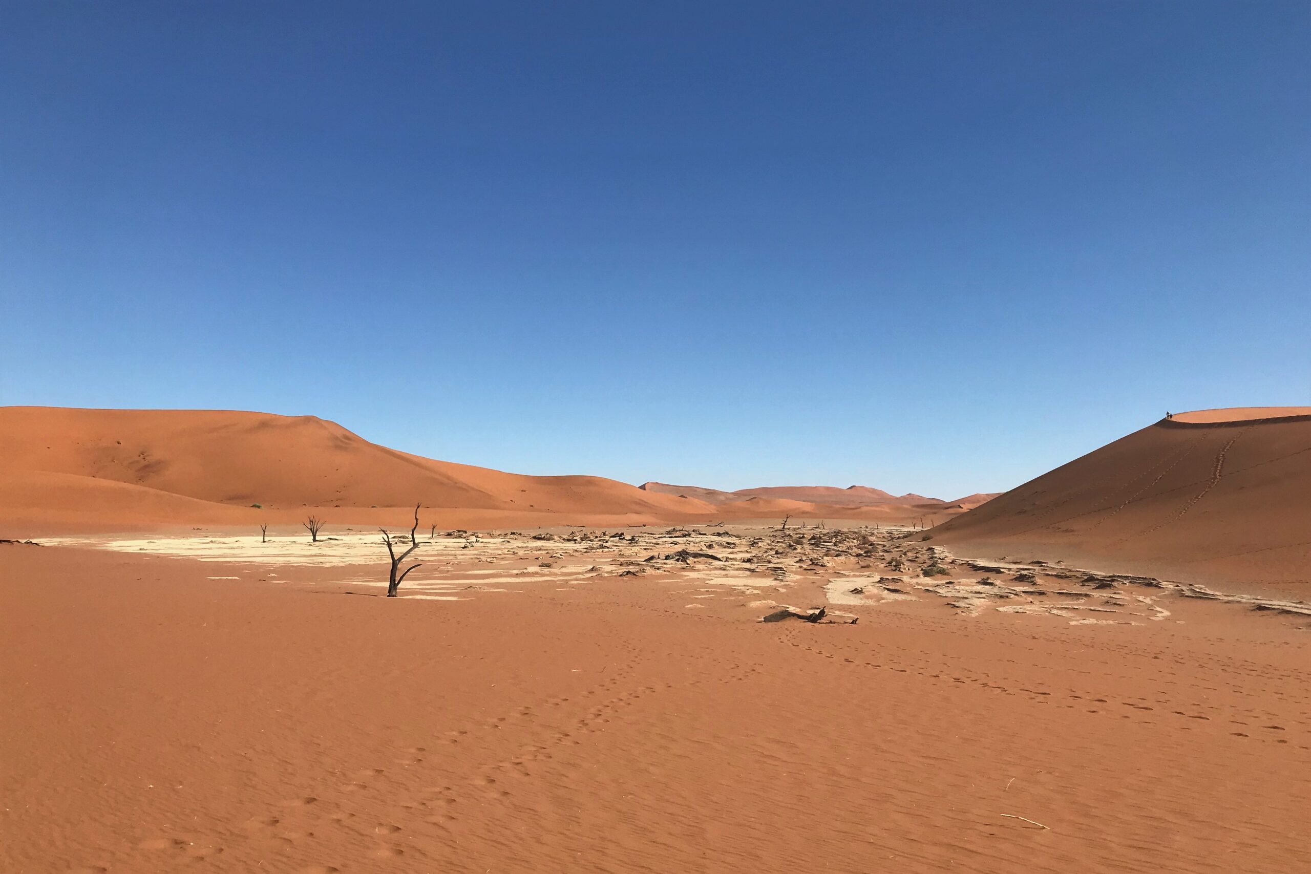 Sharing innovative MEL for people and planet