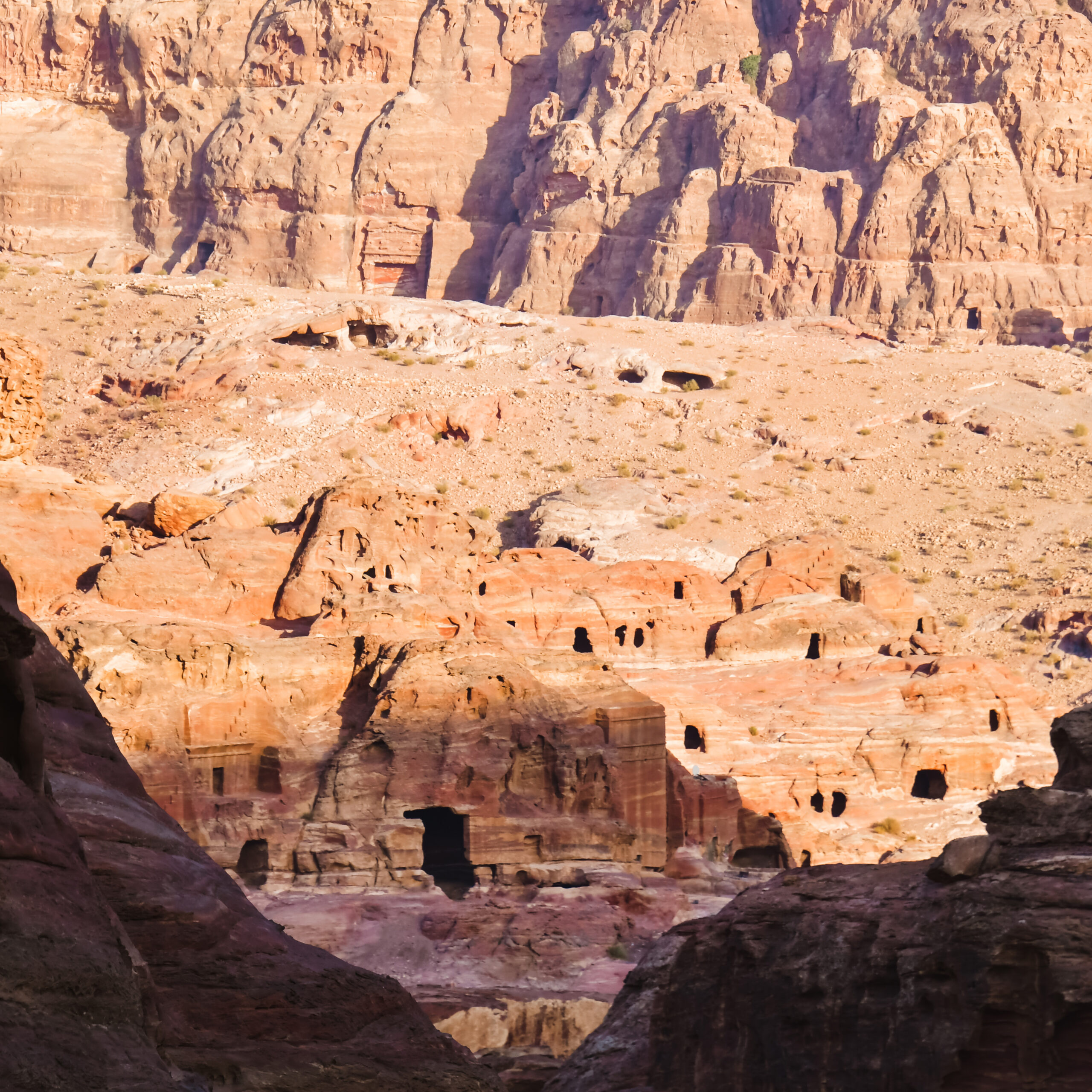 Capturing data for critical learning on Pakistan resilience programme